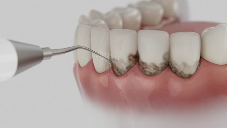 Reliable Dental contractor in Wood County County, WV by Dentist Open Now